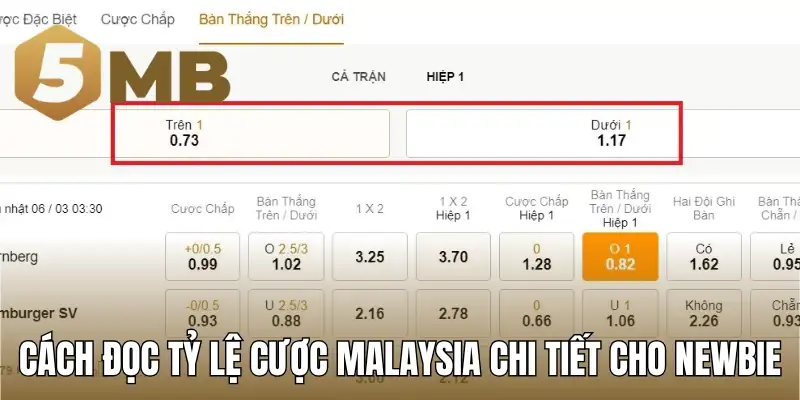 Cách đọc tỷ lệ cược Malaysia chi tiết cho newbie