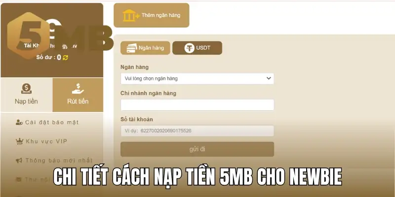 Chi tiết cách nạp tiền 5MB cho newbie