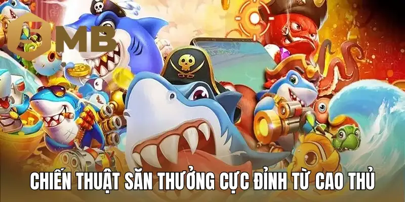 Chiến thuật săn thưởng cực đỉnh từ cao thủ hàng đầu