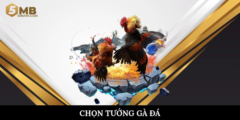 Chọn tương gà đá