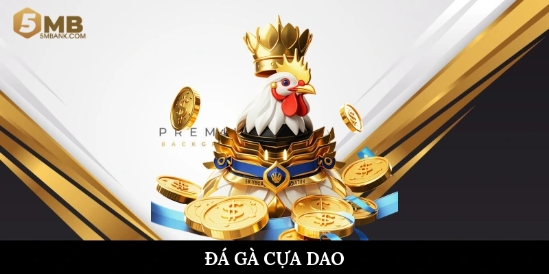 Đá gà cựa dao