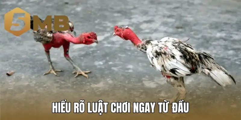 Hiểu rõ luật chơi ngay từ đầu