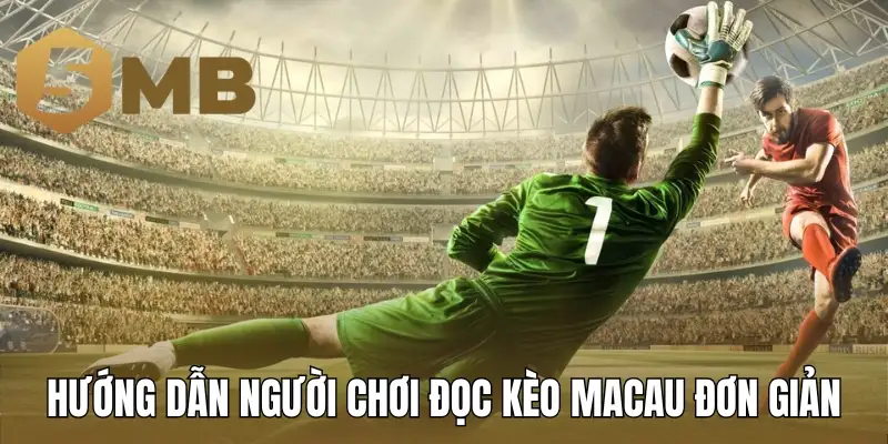 Hướng dẫn người chơi đọc kèo Macau đơn giản
