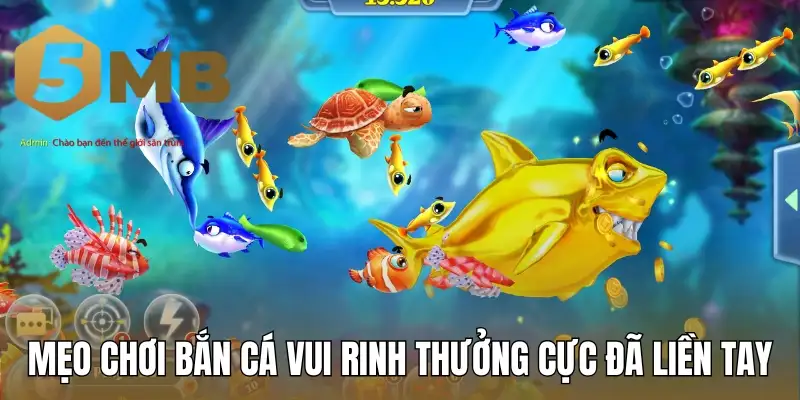 Mẹo chơi bắn cá vui rinh thưởng cực đã liền tay