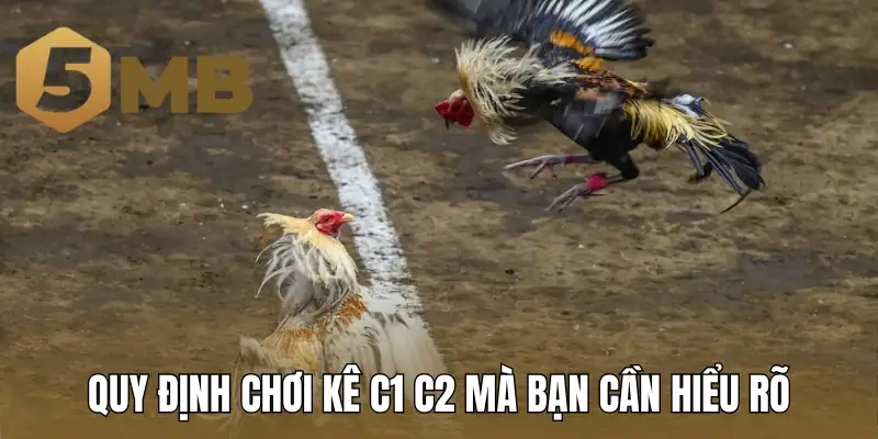 Quy định chơi kê C1 C2 mà bạn cần hiểu rõ