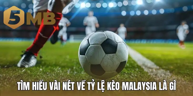 Tìm hiểu vài nét về tỷ lệ kèo Malaysia là gì