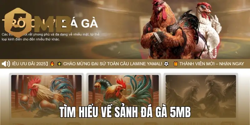 Tìm hiểu về sảnh đá gà 5MB