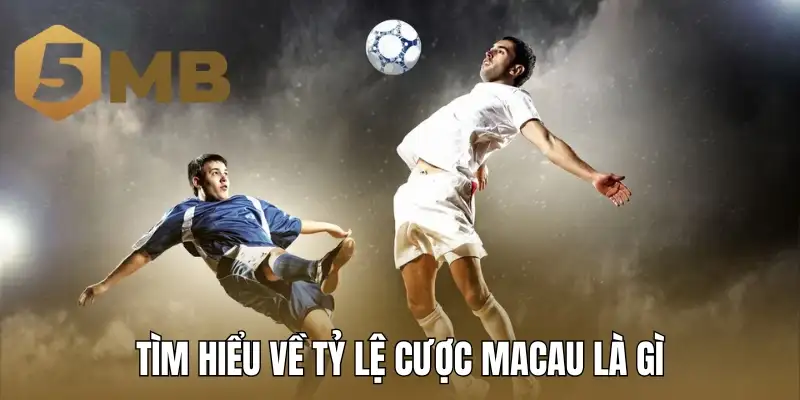 Tìm hiểu về tỷ lệ cược Macau là gì