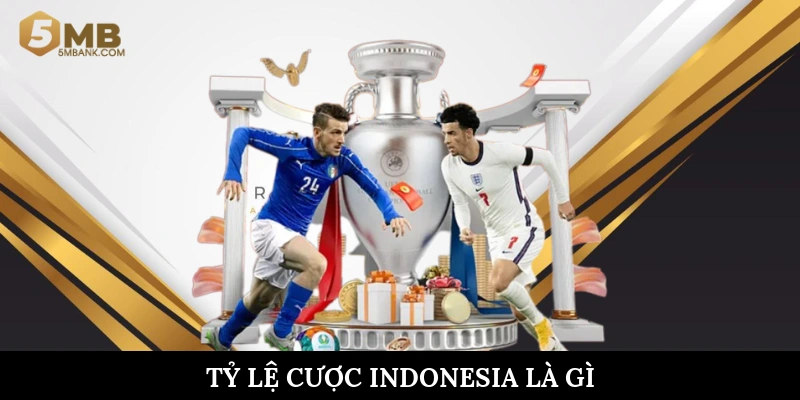 Tỷ lệ cược Indonesia là gì
