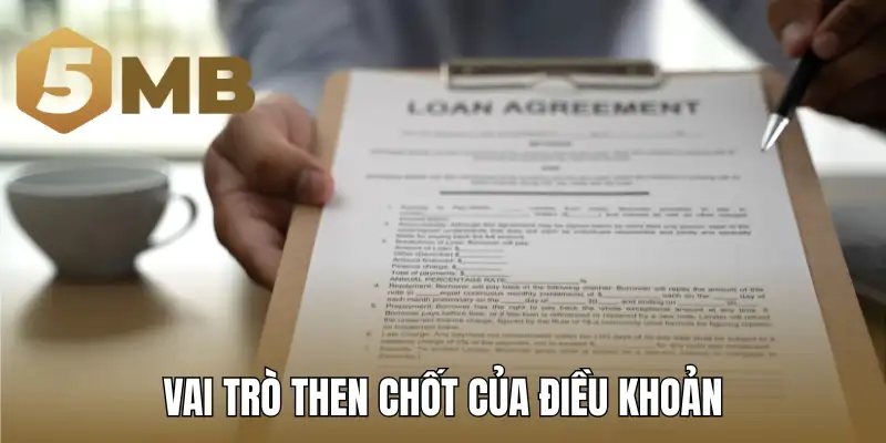 Vai trò then chốt của điều khoản trong khi chơi tại 5mb